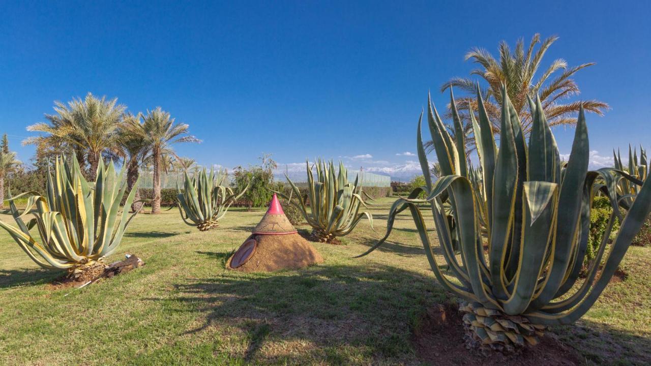 L'Oliveraie De L'Atlas Douar Caïd Layadi Exterior foto