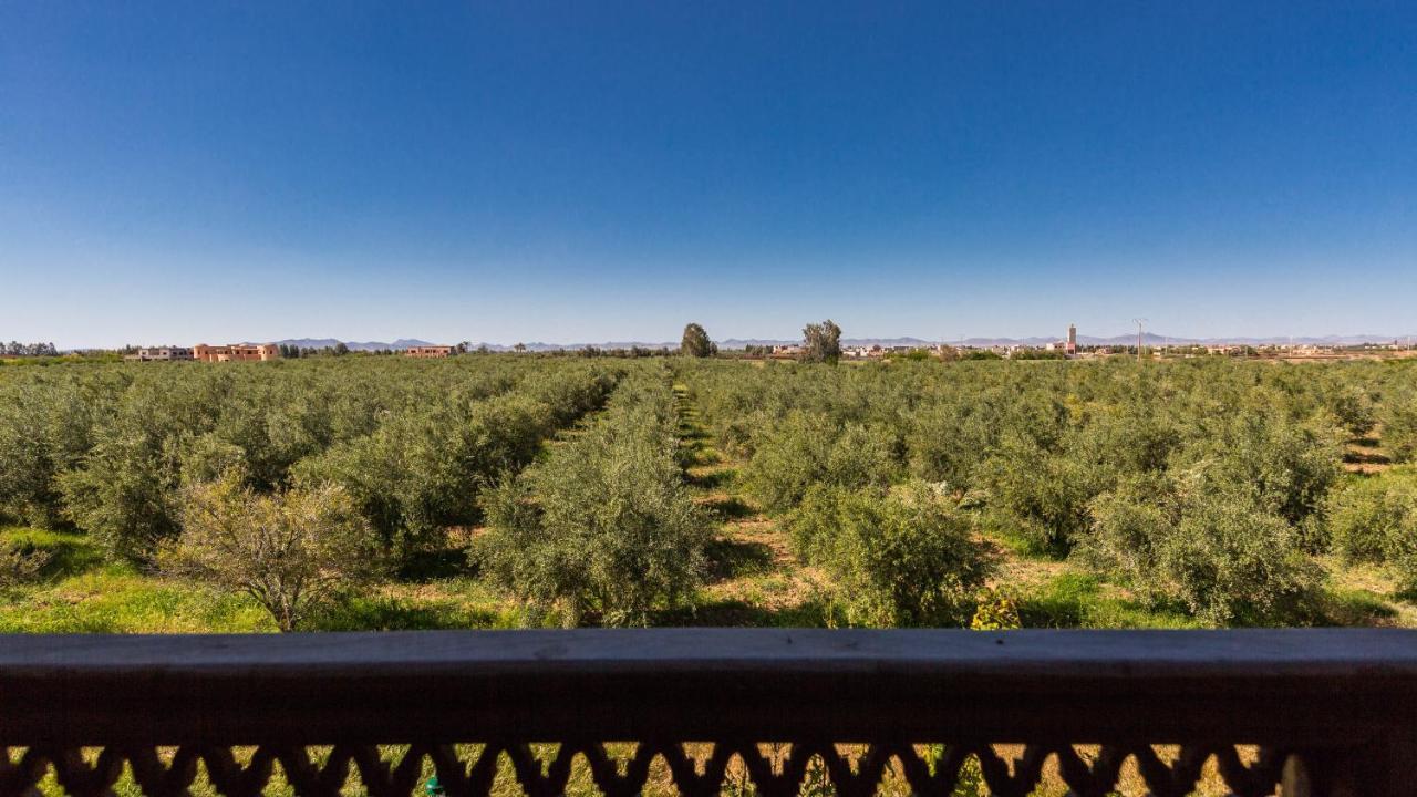 L'Oliveraie De L'Atlas Douar Caïd Layadi Exterior foto